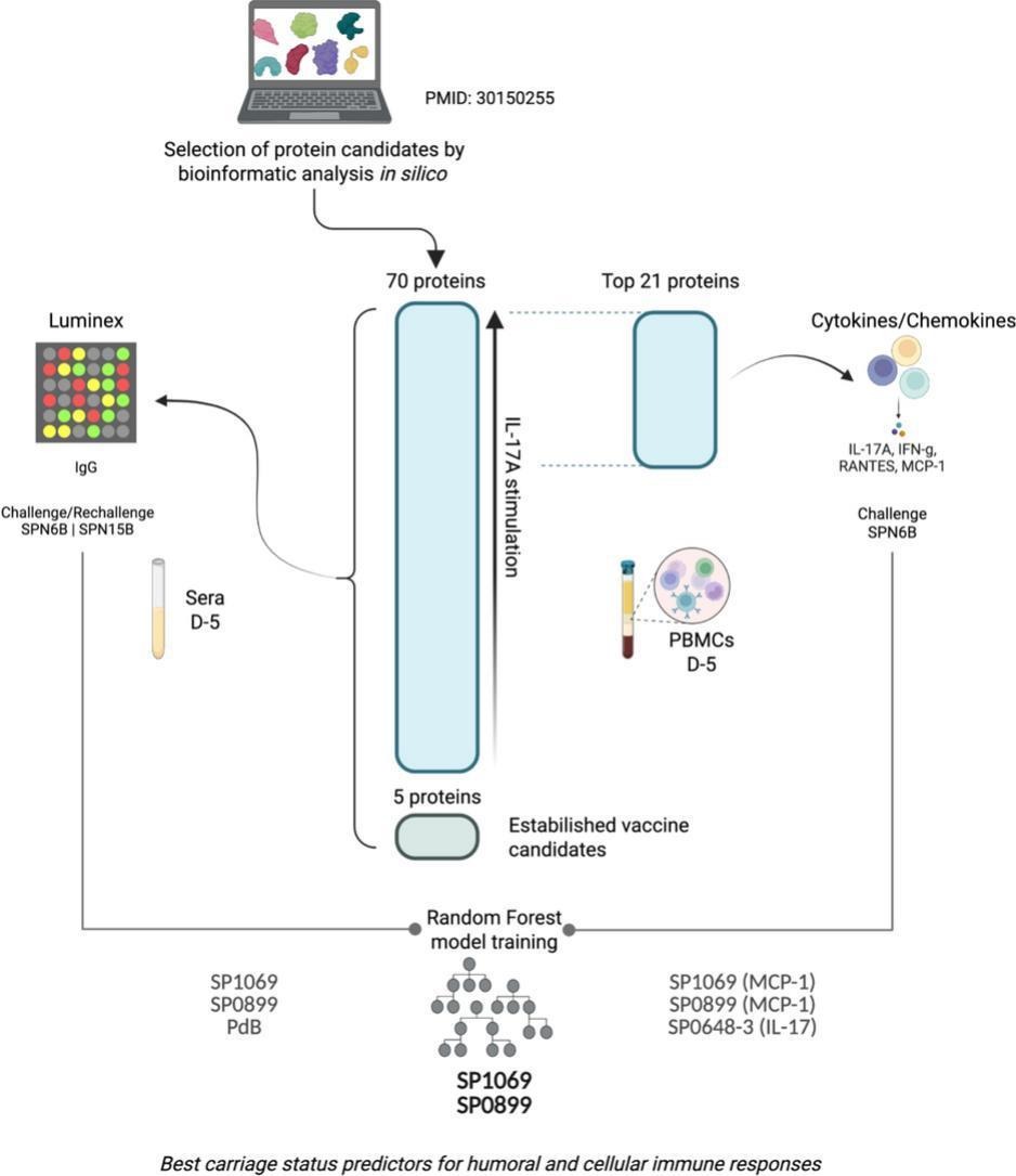 Example image